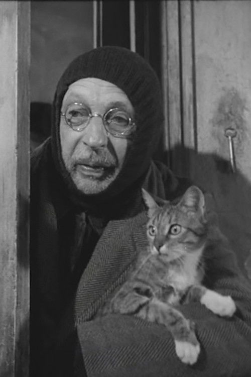 L'Homme au chats (1969) poster