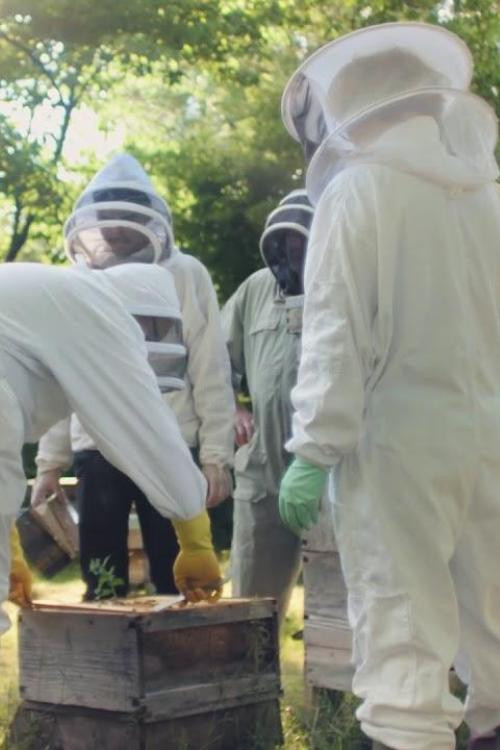 Centenary Film (2020) poster