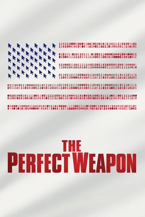 The Perfect Weapon (2020) poster