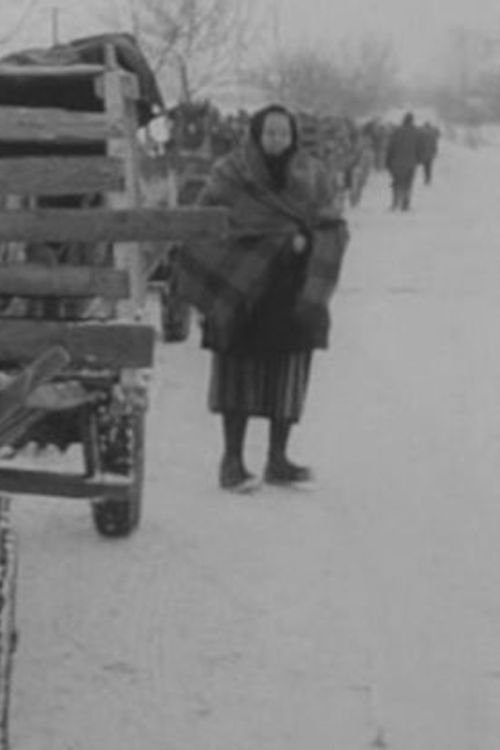 90 Days a Year (1968) poster