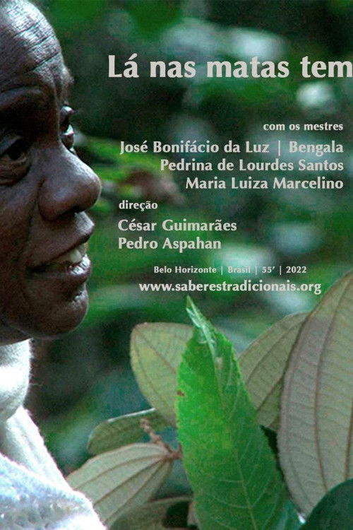 Lá nas Matas Tem (2022) poster