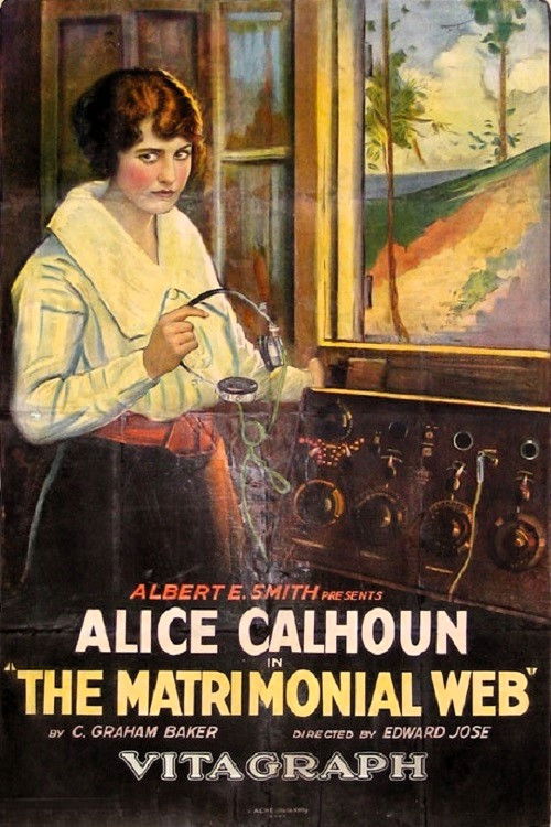 The Matrimonial Web (1921) poster