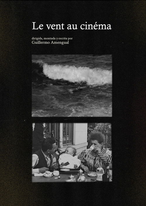 Le vent au cinéma (2024) poster