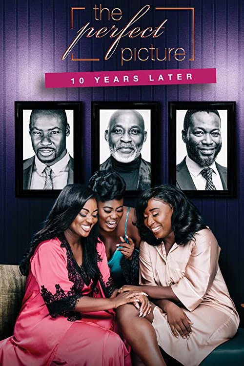 The Perfect Picture: Ten Years Later (2019) poster