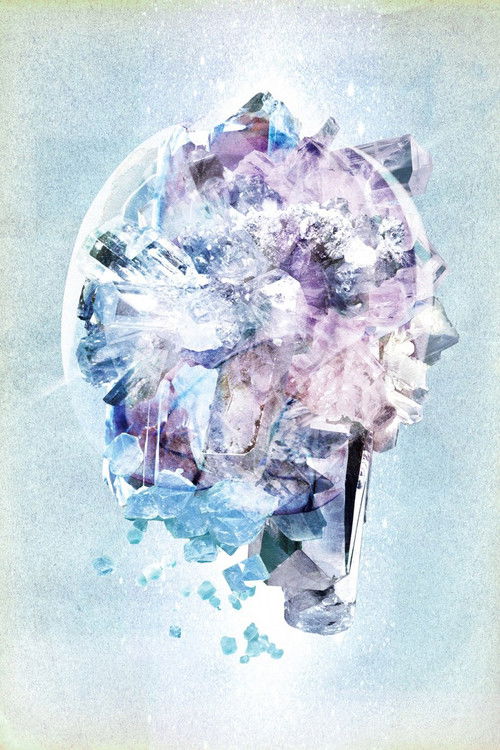 RADWIMPS LIVE&DOCUMENT 2014「×と○と君と」 (2014) poster