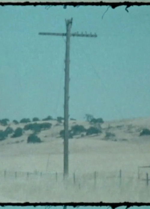 Summer 2017 (2020) poster