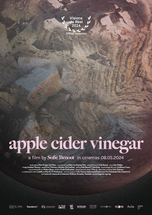 Apple Cider Vinegar (2024) poster