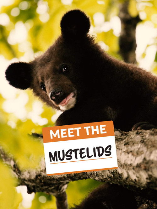 Meet the Mustelids (2020) poster