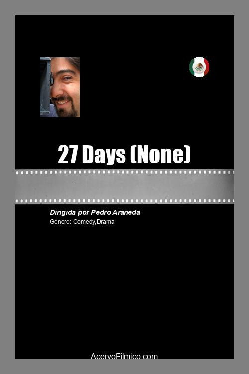 27 Days (2021) poster
