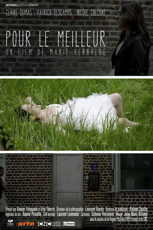 Pour le meilleur (2013) poster