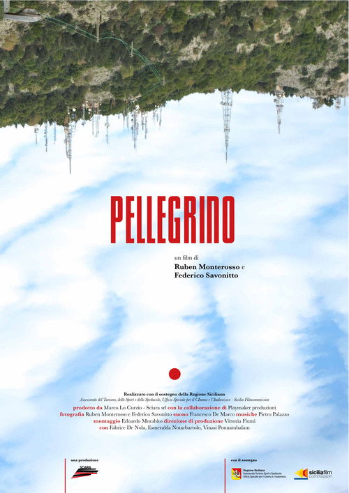 Pellegrino (2017) poster