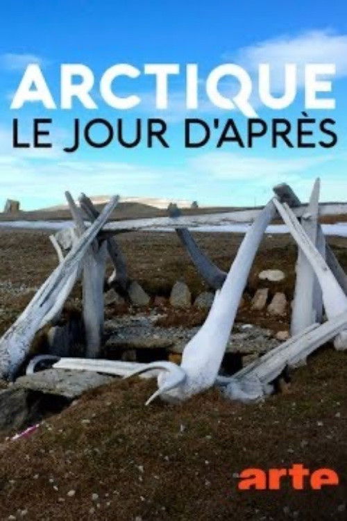 Arctique – Le jour d'après (2018) poster