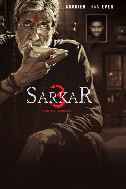 Babanın Izinden 3 ./Sarkar 3 (2017) poster