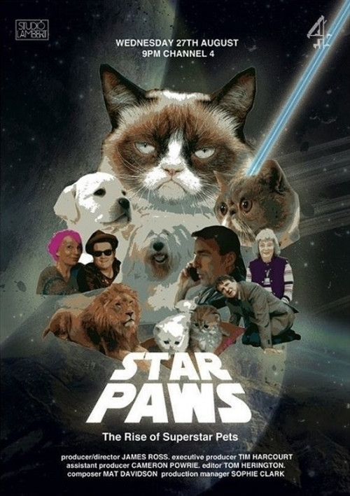 Star Paws: The Rise of Superstar Pets (2014) poster