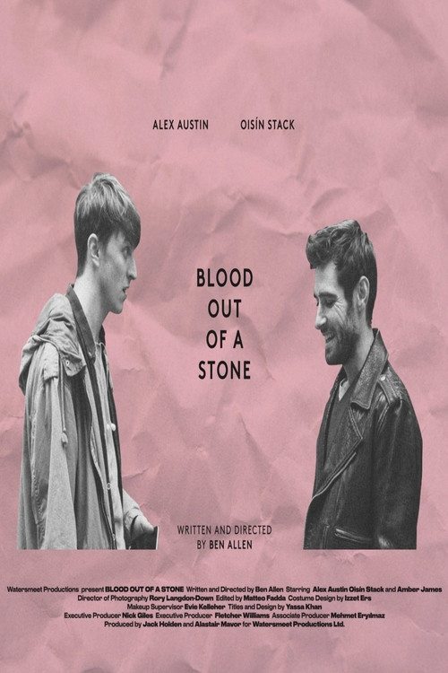 Blood Out of a Stone (2018) poster
