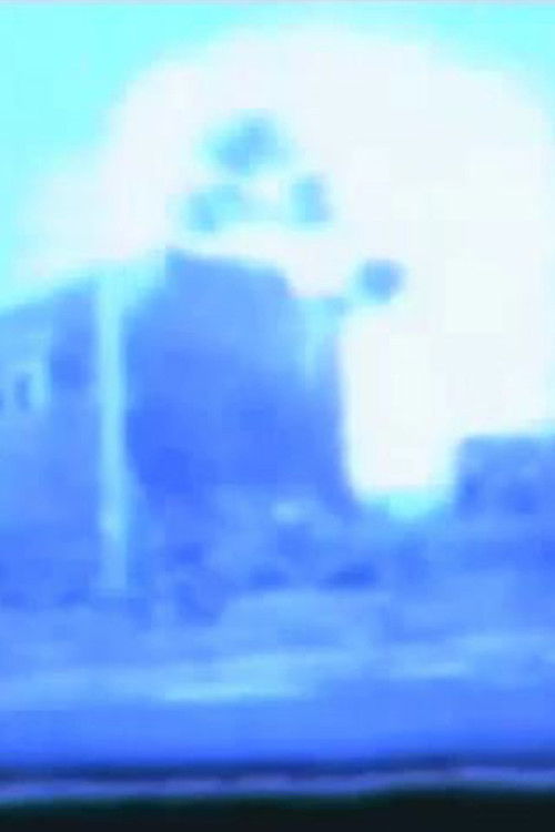 VÖRORT LIBRINO (1999) poster