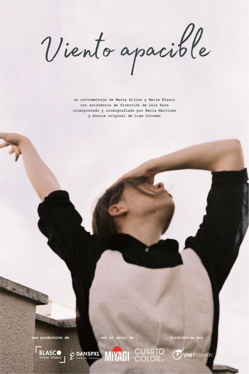 Viento Apacible (2023) poster