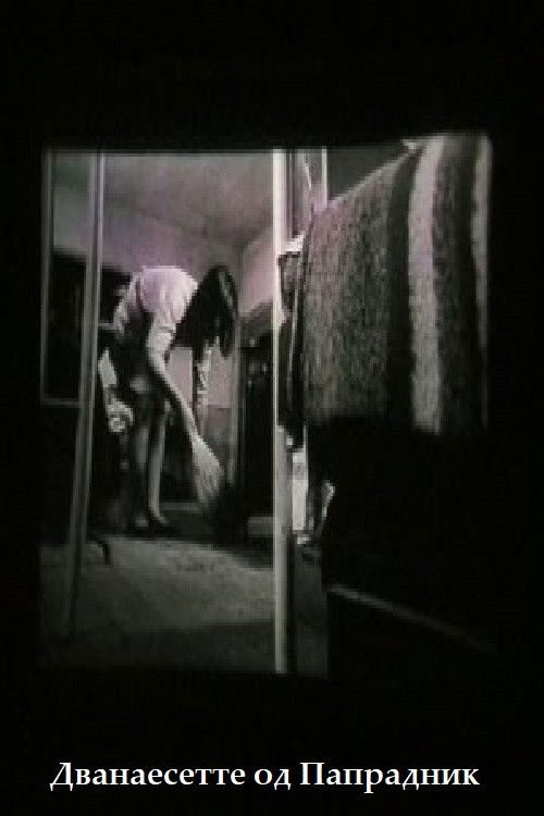 Дванаесетте од Папрадник (1965) poster