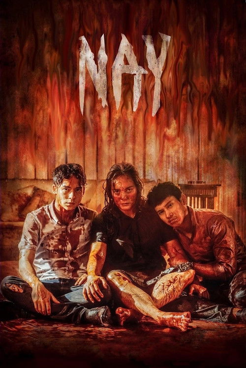 Nay (2017) poster