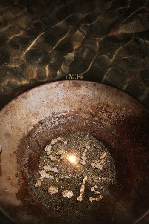 Gold Fools (2012) poster