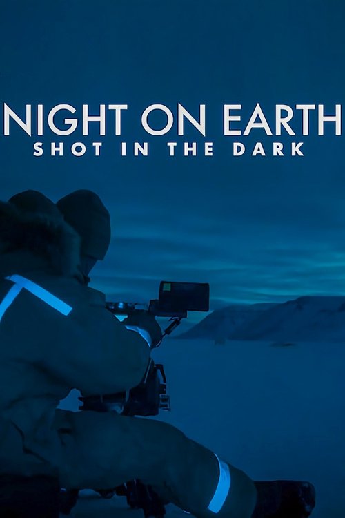 Night on Earth: Shot in the Dark (2020) poster