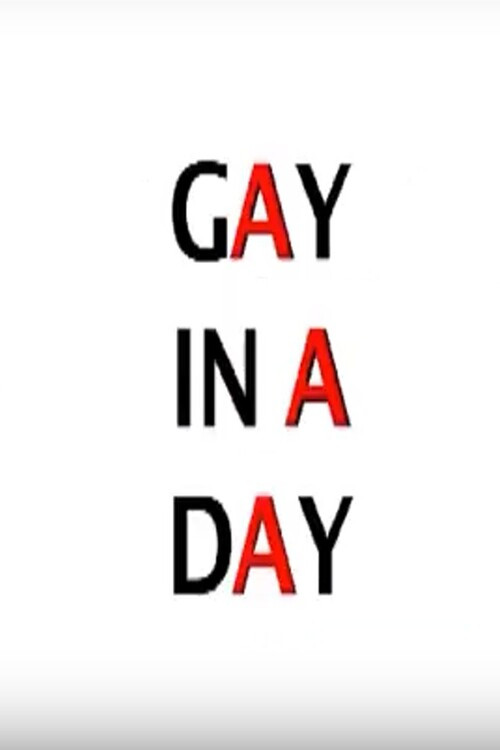 Gay in a Day (2012) poster