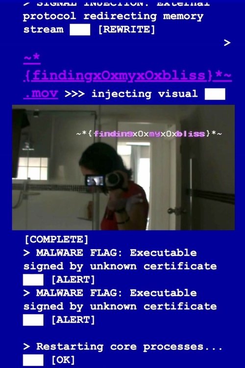 ~*{findingxOxmyxOxbliss}*~ (2025) poster