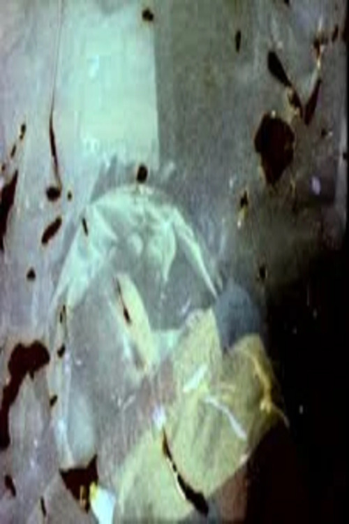 Fall U.S. (2006) poster