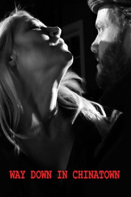 Way Down in Chinatown (2013) poster