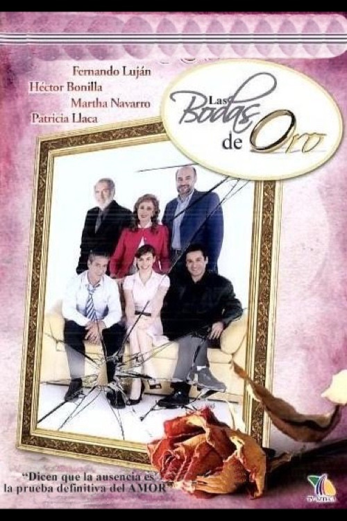 Bodas de oro (2005) poster