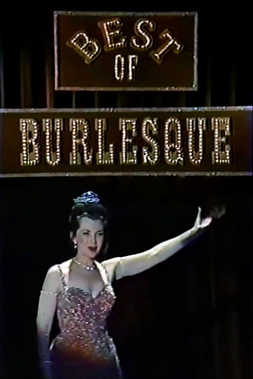 The Best of Burlesque (1981) poster