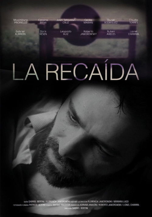 La Recaida (2013) poster