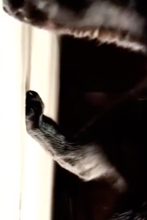 Empezando de cero (2004) poster