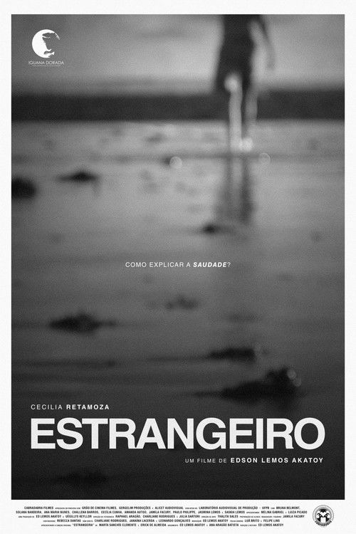 Estrangeiro (2018) poster