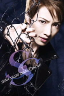 Sagiri Seina Dinner Show "SS" (2013) poster