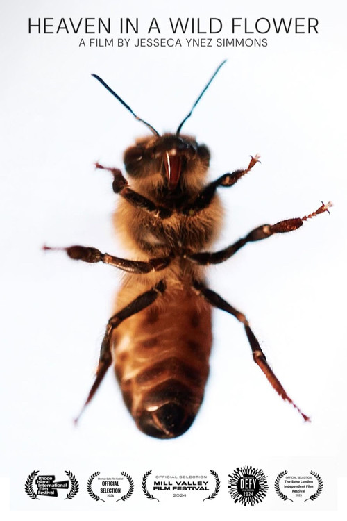 Heaven in a Wild Flower (2024) poster