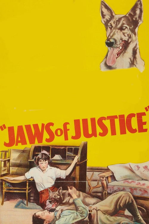 Jaws of Justice (1933) poster