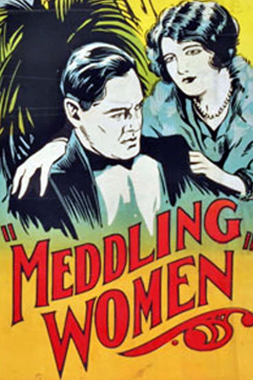 Meddling Women (1924) poster