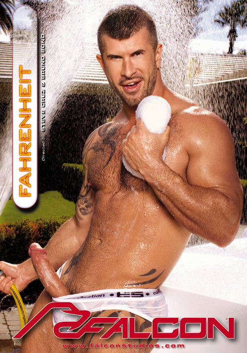 Fahrenheit (2011) poster