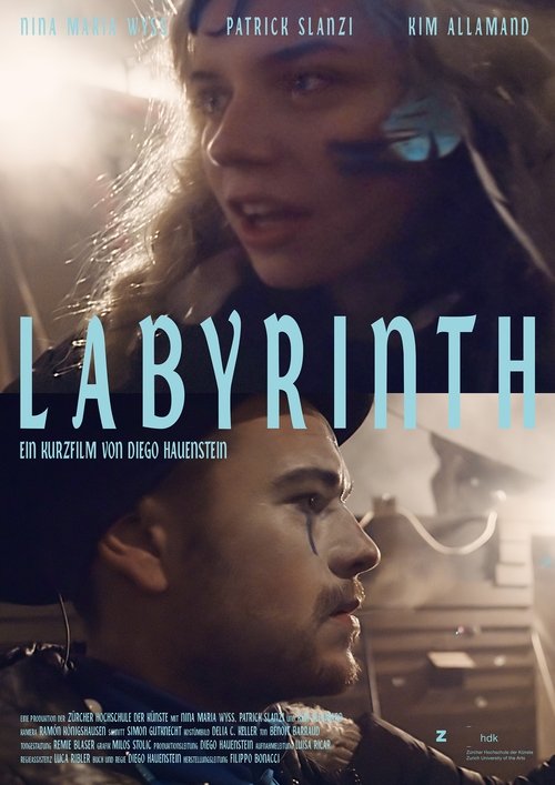 Labyrinth (2016) poster