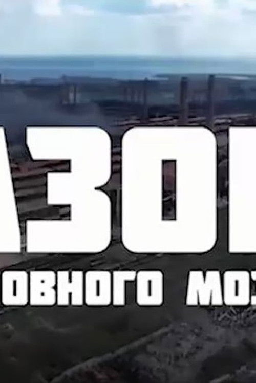 Azov Brain Rot (2022) poster