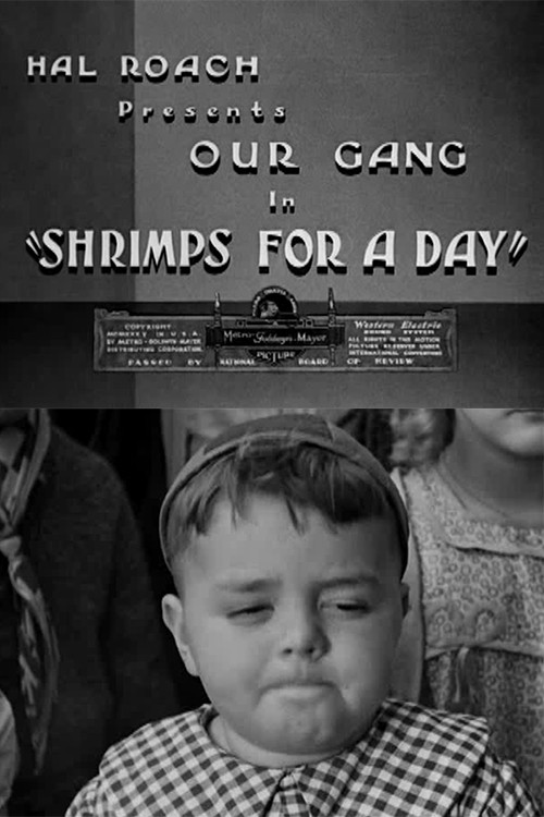 Shrimps for a Day (1934) poster