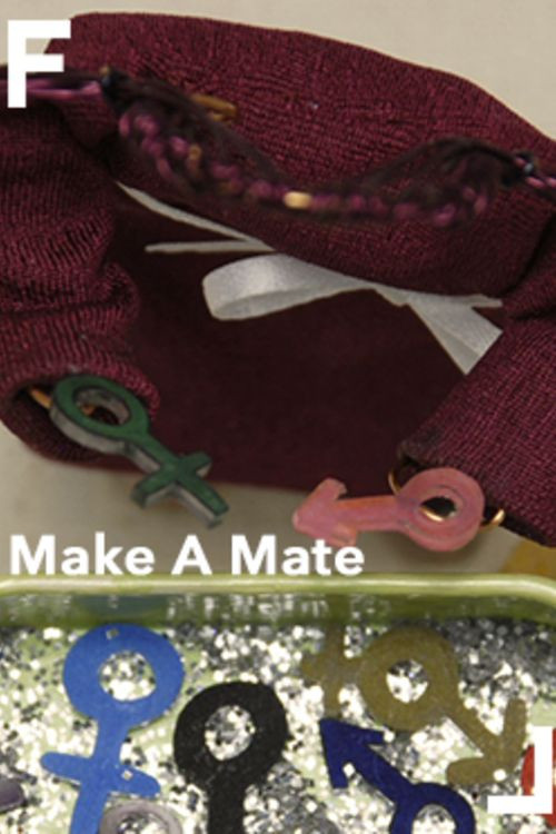 Make a Mate (2009) poster