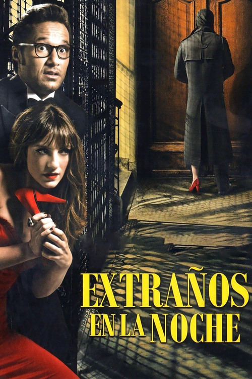 Extraños en la noche (2012) poster