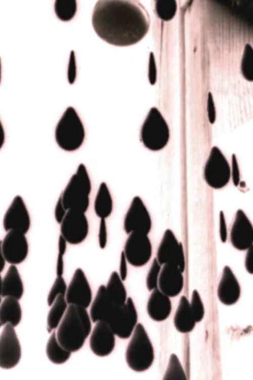 Something To Treasure (2019) poster