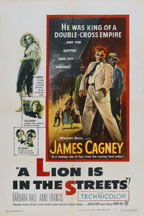 A Lion Is in the Streets (1953) poster