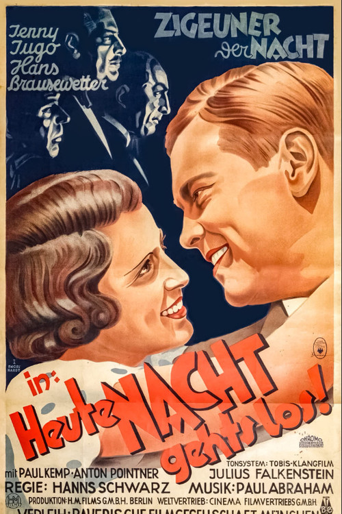 Zigeuner der Nacht (1932) poster