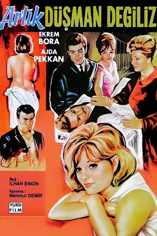 Artık Düşman Değiliz (1965) poster