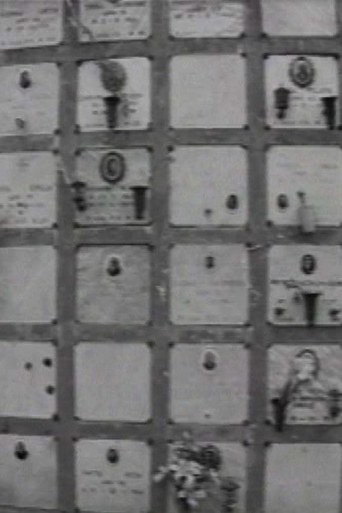 Ai Rotoli (1996) poster