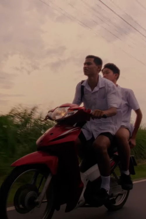 Sperm Budding (2022) poster